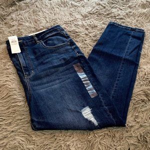 American Eagle Next Level Stretch  Ripped Jegging